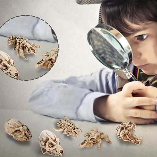 Bbiamsleep 8 Pcs 2.3 Inch Animal Skulls Figurine Resin Mini Skulls Dinosaur Alien Animal Skulls Decor Ornament Mini Skull Heads for DIY Projects Halloween Christmas Decoration
