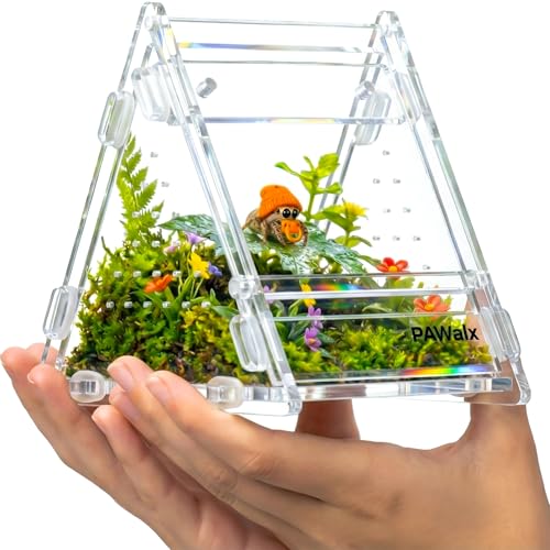 Triangular Jumping Spider Enclosure, Acrylic Terrarium with Magnetic Doors, 0.8mm Micro-Ventilation& Escape-Proof Design for Tarantulas, Lizards, Small Pets (2Pack, 3.5”x3.5”x3.5”) - size: 2Pack, 3.5”x3.5”x3.5”