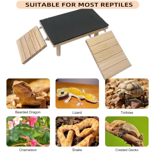 Bearded Dragon Platform Wooden Reptile Hideout Cave Climbing Tank Accessories with Reptile Basking Rock for Leopard Gecko Lizard Tortoise (Small, 9.8 × 5.9 Inches) - size: Small