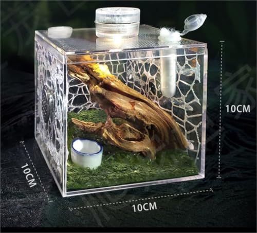 Reptile Breeding Box Jumping Spider Enclosure Jumping Spider Habitat Insects Mantis Faunarium