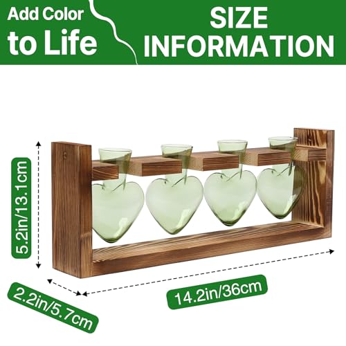 Plant Propagation Stations Heart Plant Terrarium Kit Gift for Women Plant Lover Glass Vases - color: Green