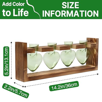 Plant Propagation Stations Heart Plant Terrarium Kit Gift for Women Plant Lover Glass Vases - color: Green