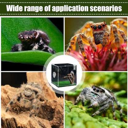 Acrylic Jumping Spider Terrarium - Reptile Growth Clear Container, Clearer View Small Pet Enclosure, Practical Convenient Spacious Habitat, Durable Housing Design Versatile Use | for Snails Lizards Be - color: Ash Green