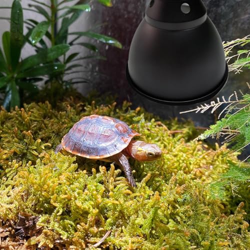Reptile Heat Lamp Fixture - Deep Dome Basking Light Holder, Reflective Terrarium Lamp Shade | UVB Reptile Tank Light Fixture, Optical Dome Cover for Heat Bulb, Pet Habitat Light Accessory - color: 5.8inch