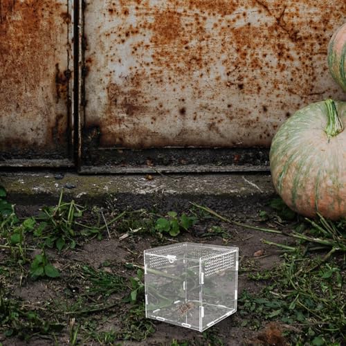Acrylic Reptile Breeding Box with Ventilation Transparent Feeding Habitat for Spiders Geckos Snakes Pets Safe Eco-Friendly Observation Container