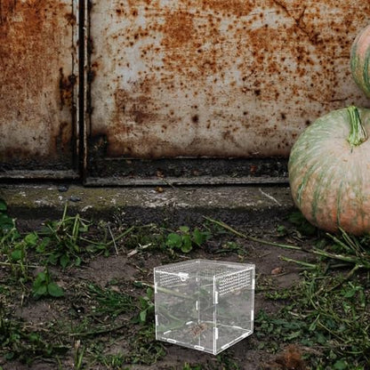 Acrylic Reptile Breeding Box with Ventilation Transparent Feeding Habitat for Spiders Geckos Snakes Pets Safe Eco-Friendly Observation Container