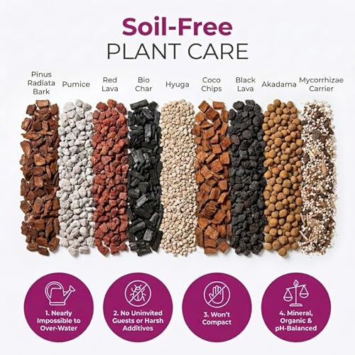 Molly's Orchid Potting Mix - Premium Gritty Soilless Orchid Mix - Chunky High Drainage vs Standard Potting Soil for Indoor Plants - Contains Bark, Coco Chips, Akadama, Pumice, Lava Rock 3 Dry Quarts - size: 3 Dry Quarts, style: Orchids