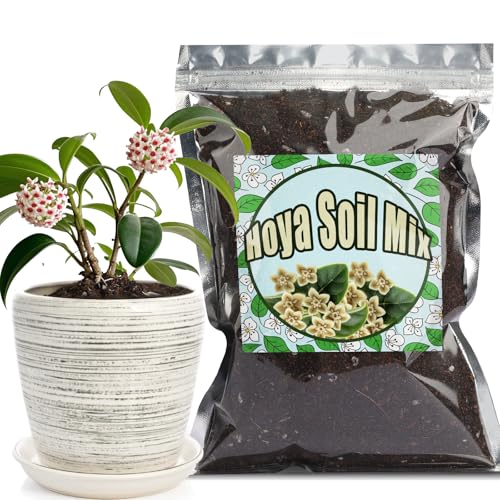 Doter Potting Soil Mix for Hoya 2qt, Custom Hand Blended Mixture Suitable for Indoor/Outdoor Potted Fern Plant - size: 2qt