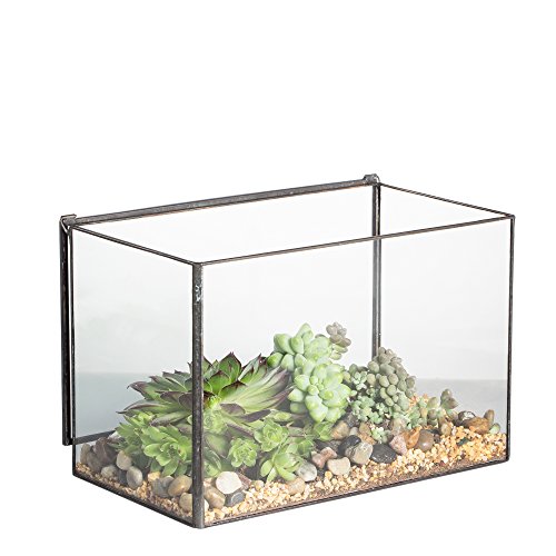 NCYP Small Rectangle Glass Terrarium Planter with Lid, 6.7 x 4 x 4.8 Inches Clear Black Geometric Flower Pot Box for Succulents Air Plant Fern, Tabletop Decoration (No Plants)