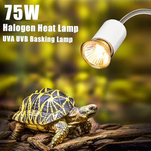Gavigain 25W Halogen Basking Lamp A B Light, Promotes Vitamin D3 Synthesis, Supports Growth, Ideal for Reptiles and Amphibians (75W) - size: 75W