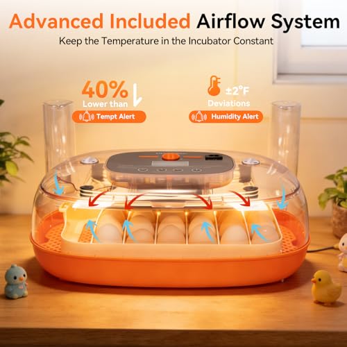 Incubators for Hatching Eggs, 24 Egg Incubator, Automatic Egg Turner with Humidity Control & Digital Temperature, Hatch Day, Auto Water Refill, 360°Viewing for Chicken, Duck, Quail, Duck, Goose