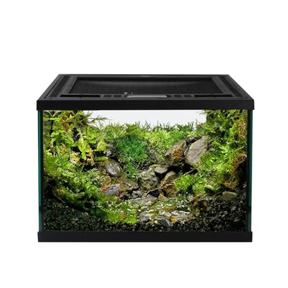 Reptile Glass Terrarium Tank 12 * 12 * 8" Full View with Top Ventilation, Amphibians Box Habitat Enclosure Cage for Frog,Spiders,Dubia Cockroach,Praying Mantis,Cricket,Tarantula,Hermit Crab - size: 12*12*8inch