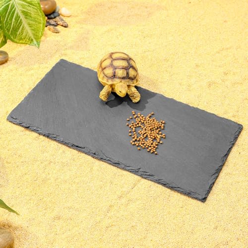 Natural Slate Basking Platform for Reptiles Bearded Dragon Tortoise Turtle Habitat Accessory Heat Retention, Anti-Slip Design, Feeding Tray Functionality, and Superior Water Absorption (12'' x 6'') - size: 12'' x 6''