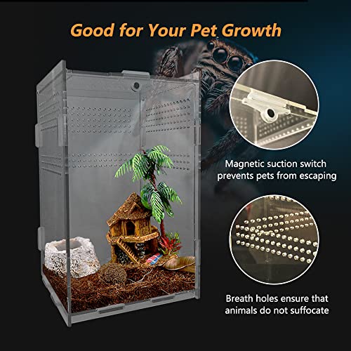 Acrylic Reptile Terrarium, Transparent Reptile Tank Habitat Terrariums Mini Enclosure Feeding Breeding Box with Cover for Tarantula Isopod Roach InvertebratesGecko Frog （5“x5”x8“）