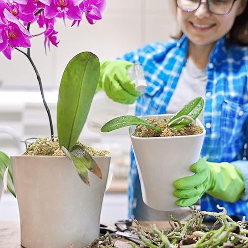 Halatool 12OZ Orchid Moss Sphagnum for repotting, 16QT Dried Sphagnum Moss for Plants Indoor, Maintain Air Humidity and Improve Soil Acidity, Natural Media for Orchid Plant Growth - size: 16 qt (0.8 lbs)