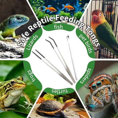 3PCS Reptile Feeding Tongs with Rubber Tips, 10.6" Stainless Steel Tweezers & Spoon Set with Storage Bag for Bearded Dragons, Geckos, Turtles, Tank Accessories