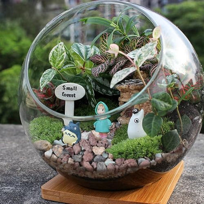 6lbs Mix Horticultural Lava Rocks for Plants, 3/8 Inch Potting Soil Amendment for Succulents, Cacti, Bonsai, Decorative Gravel Plant Drainage Volcanic for Terrarium, Top Dressing