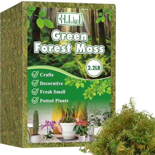 Halatool 2.2LBS Forest Green Moss for Indoor Potted Plants, Orchid Potting Mix, Indoor Potting Plant Moss for Repotting Terrariums Garden Reptiles - size: 2.2lb