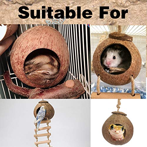 Hamiledyi Lizard Coco Den Reptile Hideouts Gecko Coconut Shell Hut Coconut hut for Geckos Bearded Dragon Tank Accessories Coconut Lizard Hut with Ladder - Natural Coconut Fiber