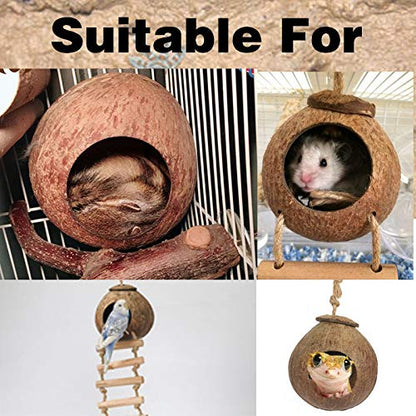 Hamiledyi Lizard Coco Den Reptile Hideouts Gecko Coconut Shell Hut Coconut hut for Geckos Bearded Dragon Tank Accessories Coconut Lizard Hut with Ladder - Natural Coconut Fiber