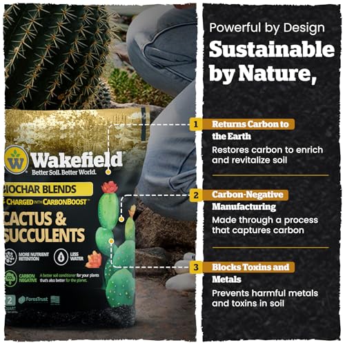 Wakefield Biochar Blend Potting Mix for Cactus & Succulent – Premium Potting Soil Blend with CarbonBoost Technology for Superior Drainage, Moisture Retention & Root Growth – 2 QT Organic Soil Mix - size: 2 Quart