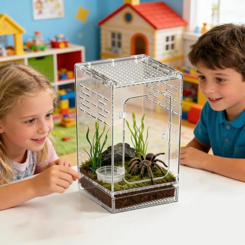 Jumping Spider Enclosure – Acrylic 15x15x25cm | Small Reptile Habitat with Dual-Sided Ventilation | Front-Opening Arboreal Tarantula Tank | Transparent Terrarium for Mantis and Invertebrate Use - color: Large arboreal breeding box