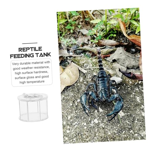 BESPORTBLE 2pcs Pet Display Box for Reptile Observation Reptile Breeding Container Ventilation for Animals Like Snakes Frogs and Turtles