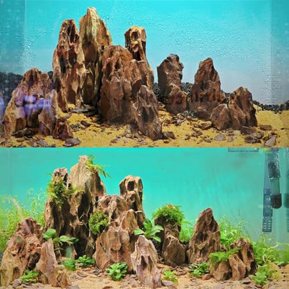 Natural Stone 20lb Aquarium Rocks for Aquarium Landscaping Models and PH Neutral Rocks Aquascaping Stones for Terrariums-2-8 inches - size: 20LB(2-8 inches)