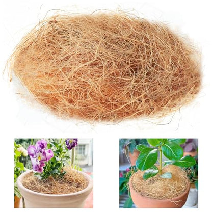 Natural Organic Coconut Husk Silk, Pure Coconut Shell Fiber Orchid Plant Coconut Fiber Substrate Coco Coir Fiber Greenery Covering (0.22 pounds)