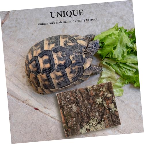 SUPVOX Natural Cork Bark for Reptile Tank Decor Tree Bark Hide for Reptile Habitat Aquarium Background Decoration for Lizard Snake Gecko and Other Reptiles