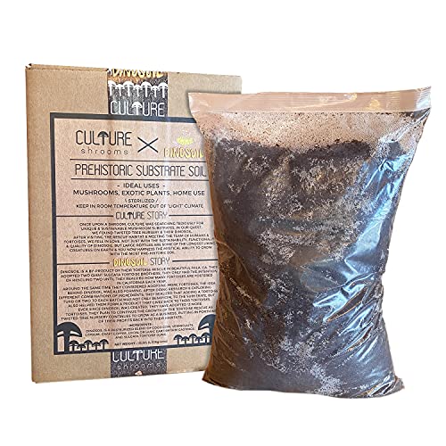 Culture Mushrooms Prehistoric Substrate Soil