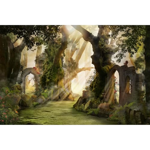 Fantasy Forest Aquarium Background Archway and Ancient Trees Atmospheric Landscape Fish Tank Background Deep Woods Misty and Foggy Mood Reptile Habitat Background Decors Poster Vinyl 24x12in - color: Orange, size: 24(W)x12(H)in