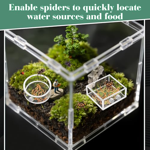 Windspeed 2+1P 1.8 inch Mini Jumping Spider Feeding Dish Magnet Tarantula Water Bowl for Spider Feeder Water Dish for Tarantula Tank Enclosure Accessories, with A Dropper (Square and Round)