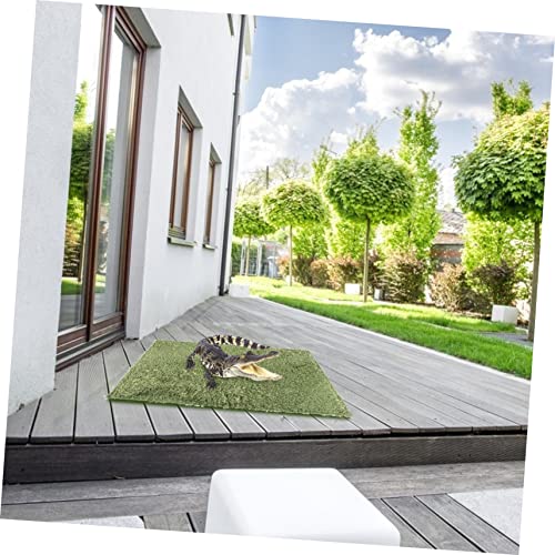 WEKAMOS 2pcs Reptile Chameleon Cage Accessories Reptile Carpet Terrarium Mats Moss Pad