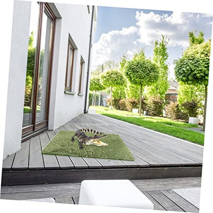 WEKAMOS 2pcs Reptile Chameleon Cage Accessories Reptile Carpet Terrarium Mats Moss Pad
