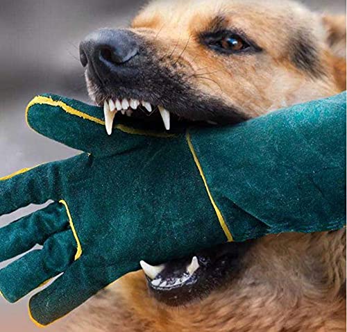 Dog training Thickened anti-bite gloves prevent lizard python's bite gloves