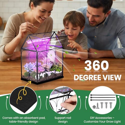Meonum Tiny Glass Terrarium Kit with Grow Light, Venus Fly Trap Terrarium with Absorbent Mat, Timer&3 Light Modes for Succulent Live Air Plants Indoor Home Office Decor (7.1"x 4.7"x 8.7",USB Powered)