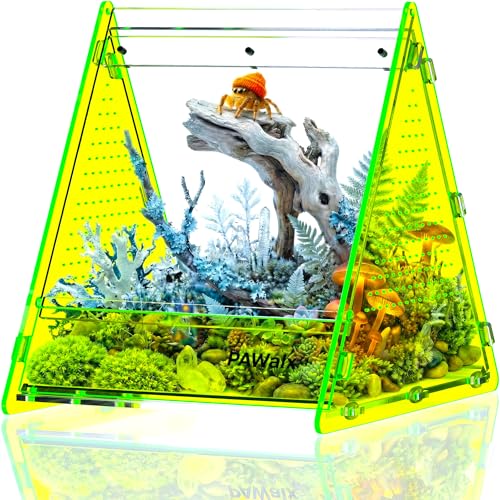 Triangular Jumping Spider Enclosure, Acrylic Terrarium with Magnetic Doors, 0.8mm Micro-Ventilation& Escape-Proof Design for Tarantulas, Lizards, Small Pets (Green,6.5"x7.3"x7") - size: 1Pack, Green,6.5"x7.3"x7"