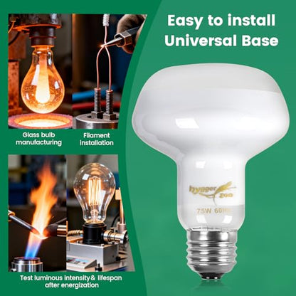Reptile Heat Lamp Bulbs 100W (2-Pack) – Efficient Heating & Simulated Sunlight Basking Light for Amphibians, Bearded Dragon, Lizard, Turtle, Chicken – E26 Base - color: White, size: 100W