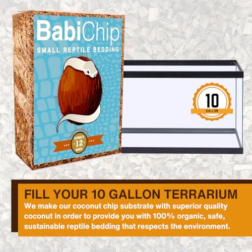 BabiChip Coconut Chip Substrate for Reptiles 12 Quart Loose Small Sized Coco Husk Chip Bedding for Ball Pythons, Other Snakes, Tortoises, Geckos, Frogs, or Lizard Terrarium Tanks - size: 12 Quart