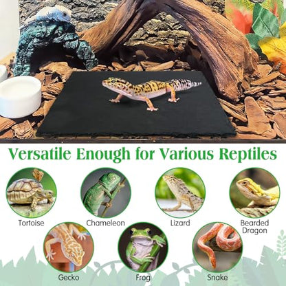 Tfwadmx Reptile Basking Platform Tortoise Feeding Dish Natural Rock Food Bowl Landscape Habitat Decor for Turtle Lizard Bearded Dragon Crested Gecko Snake 2Pcs - size: 2pcs-12"x6"