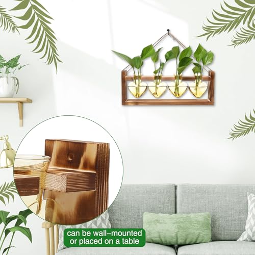 Plant Propagation Stations Heart Plant Terrarium Kit Gift for Women Plant Lover Glass Vases - color: Gold