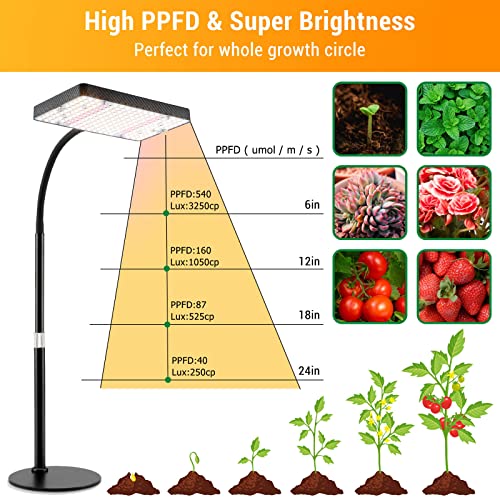 FECiDA Desk Grow Lights for Indoor Plants, Bonsai, Seed Starting, Table Top Grow Light UV-IR Full Spectrum, 25 Watt Power Draw, Bright Enough LED Growing Lamp, 16"-24" Height Adjustable - size: TableTop-1Head-25W-OnOff