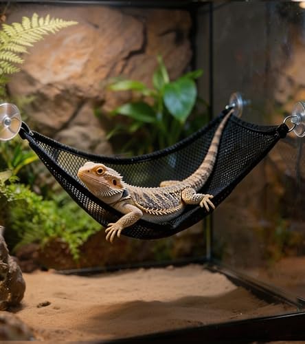 Snake Enrichment Toys,Ball Python Tank Accessories with Snake Climbing Accessories Hammock, Lizards Toy Activity Ball,Reptile Climbing Toys for Crested Gecko Bearded Dragon