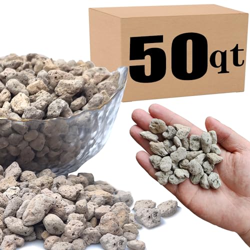 Horticultural Pumice for Plants Professional Sifted (50 QT, 1/2 inch) - color: 50QT, size: 1/2 inch