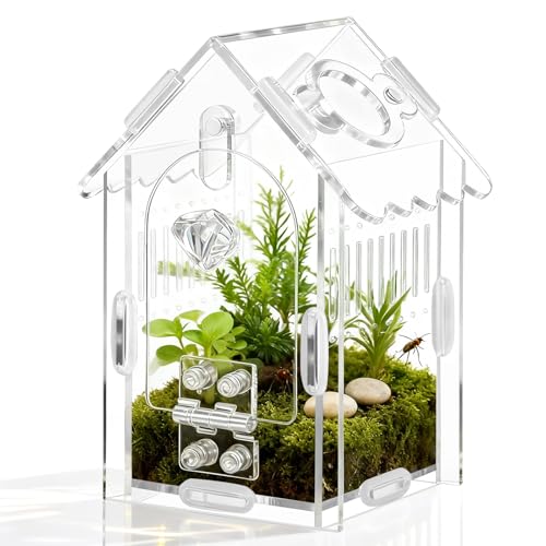 Jumping Spider Enclosure Acrylic Spider Cage Insect Terrarium Bug Enclosure Tarantula Enclosure Reptile Terrarium for Snail, Mantis, Lizard, and Small Reptiles - Small House Shape