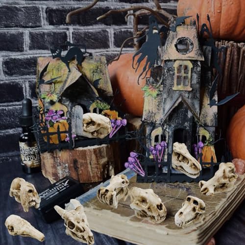 14 Pcs 1.5 Inch Mini Resin Animal Skull Heads Miniature Animal Skull Figurines Mini Halloween Skulls Mini Skull Figurine Miniature Skulls for Crafts Halloween Christmas Micro Landscape Decor