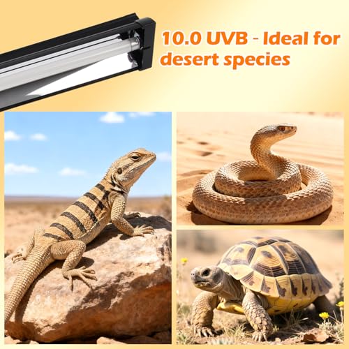 T5 UVB Reptile Light Fixture Combo Kit 24W 10.0 – Complete HO UVB Light for Reptiles with 22.68" Terrarium Hood, Desert UVB Bulb for Bearded Dragon Gecko Tortoise Lizard – Easy to Install and Use - size: 10.0-22.68 in