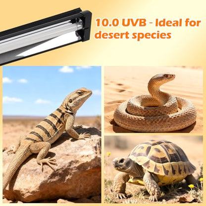 T5 UVB Reptile Light Fixture Combo Kit 24W 10.0 – Complete HO UVB Light for Reptiles with 22.68" Terrarium Hood, Desert UVB Bulb for Bearded Dragon Gecko Tortoise Lizard – Easy to Install and Use - size: 10.0-22.68 in