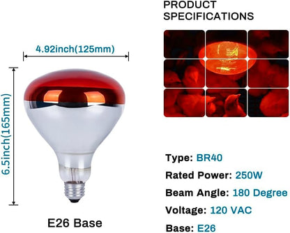 250 Watt R40 Clear Heat Lamp Bulb – Infrared Flood Reflector Light, Incandescent Spotlight for Food Warmer, Brooder, Chicken Coop, Pet Heating, Bathroom, Light Therapy – E26 Base (1, Red) - color: Red